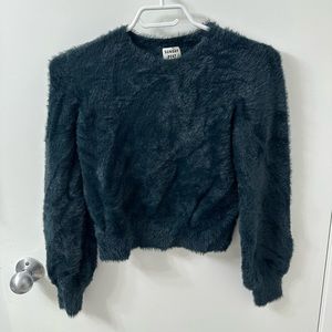 Aritzia Sunday best kitten sweater